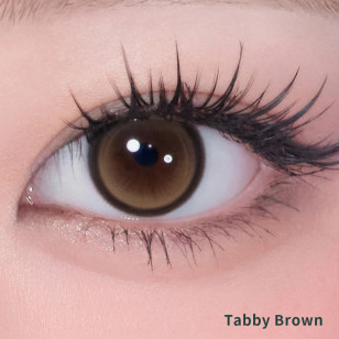 Cat-Titude Kristin 1Day — Tabby Brown 日抛 10片裝